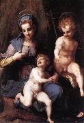 Andrea del Sarto Madonna and Child with the Young St John china oil painting reproduction